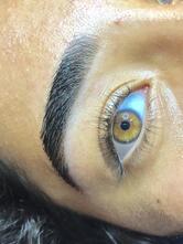 Restaurante Food Beer 242