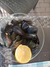 Ravazzolo Amelia Snc