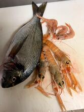 Trattoria Vineria Acquolina