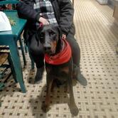 Bar Alimentari Tabacchi La Collina