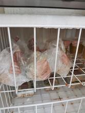 Poko churros & Panchos