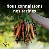Restaurant CFF Dufour «chez SBB»