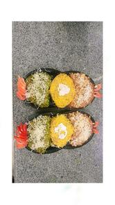 Apple green restaurant botad