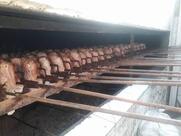 Frango do gaúcho Altamira Pará