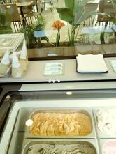 TAZZA GELATO sorvetes premium