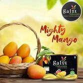 GatoxNaturals - Natural Fruit Icecreams