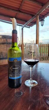 Vinícola Gabrielli Ltda