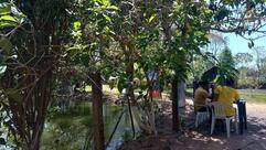 Pesque pague do Certório