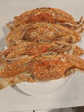 Sawasdee Seafood