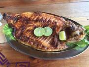 Braseiro Nobre - Braseiro em Imperatriz