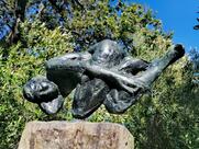 Dylan Lewis Studio & Sculpture Garden