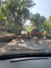 Dodamarg Belgam Road