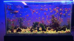 V. S. Hall New Night Canteen (2nd Floor)