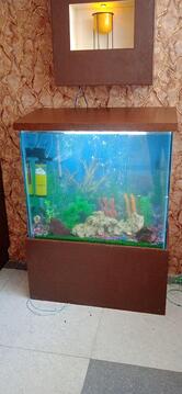 Kathi Junction Budgam shakir