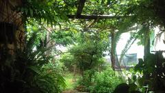 Sudbrack & Roman Ltda.