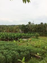 Kalpaathi paadam Tea Stall