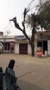 Pardeep Oil free fast food Grilled Pizza Burger