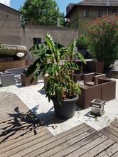 Bar Vincendo Pragma Srl