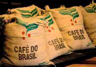 BrasilJuta - Exportadora de Café Verde do Brasil