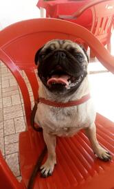 Bar e Restaurante do Alemão