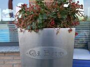 QI BAR di Litian SRL