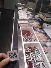 Vis Mediteranee West