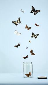 MAA PITAMBRA DIGITAL STUDIO AND INTERNET