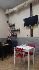 Сытый кот