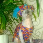 Пиво Самоварное