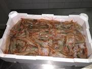Sea Food Attanasio Roma