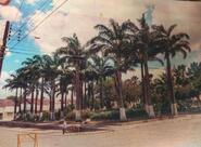 Agrestina PE BR N 104