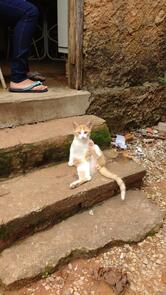 Mini Padaria Monte das Oliveiras