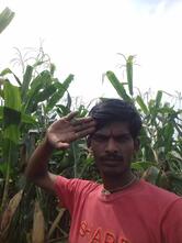 Hotel New Royal Ajanta