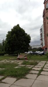 Дворик