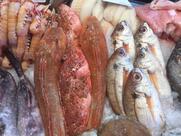 Pescheria Fratelli Maresca