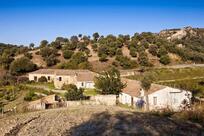 Fattoria San Sebastiano