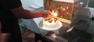 Panificadora Pão francês