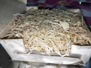 Sandhya Fast Food Center