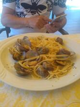 Albergo Bar Ristorante CONCHIGLIA