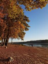 DOMAINE LES NIDS DU LAC