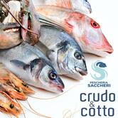 Pescheria Saccheri Crudo & Cotto