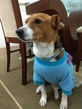 Cordeiros Restaurante