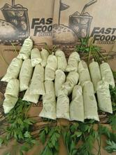 ESTAÇÃO CANTAREIRA CAMBUCI