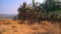 ATUL SNACK CENTER ( PURE VEG)