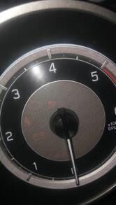 punjab Patiala Hotel Clarion