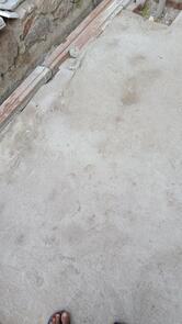 Krishna pani patashi