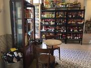 Enoteca Angelini dal 1890