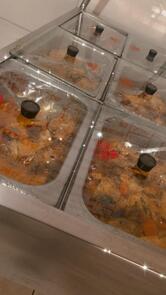 Restaurante Fraga Maia