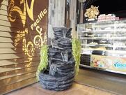 Pacific The Food Pleasure