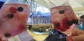 Gallodini Leverkusen